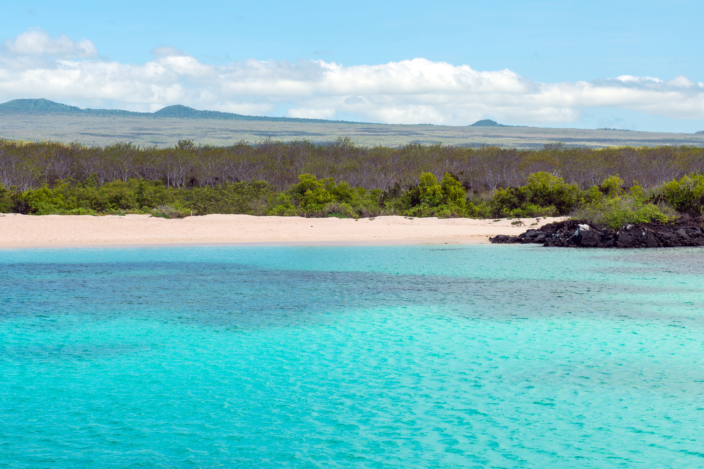 seymour ecological galapagos airport 01.webp